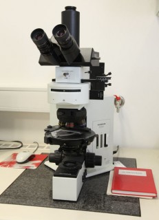 Optical transmitted light microscope IMG 5141